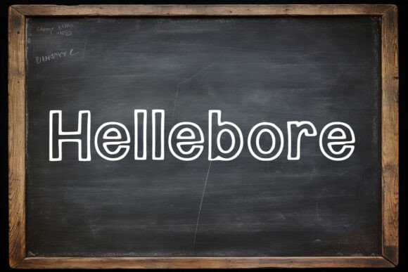 Hellebore Fonts: A Display Review for Real Brands